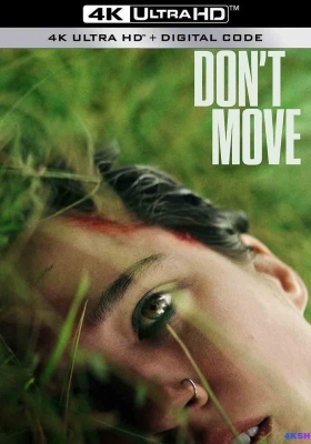 [4K电影] 行动倒数 (2024)  Dont Move / 别动 / Dont.Move.2024.2160p.NF.WEB-DL.H.265.HIN-ENG.DDP5.1.Atmos