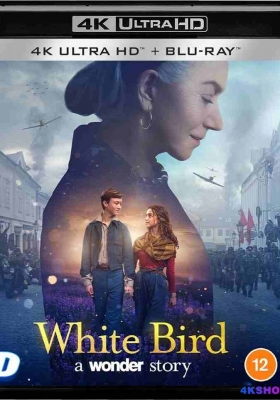 [4K电影] 白鸟：奇迹 (2023) White Bird / 白鸟：一个奇迹故事 / 奇迹男孩外传：白鸟小屋(港) / White Bird: A Wonder Story / White.Bird.2023.2160p.UHD.Blu-ray.DoVi.HDR10.HEVC.DTS-HD.MA.5.1