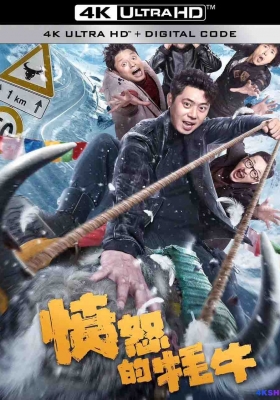 [4K电影] 愤怒的牦牛 (2025) The Angry YAK / The.Angry.YAK.2025.2160p.EDR.WEB-DL.DDP2.0.H265