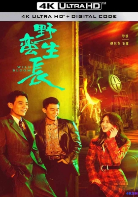 [4K剧集] 风吹半夏 第一季 (2022) Wild Bloom Season 1 / 野蛮生长 / 不得往生 / Wild.Bloom.2022.V2.WEB-DL.2160p.H265.DDP.AAC