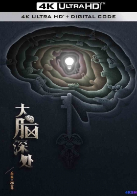 [4K纪录片] 大脑深处 (2023) Da Nao Shen Chu / Da.Nao.Shen.Chu.S01.2023.2160p.WEB-DL.H265.AAC