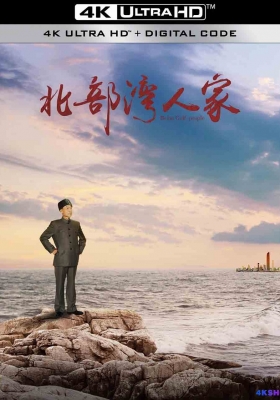 [4K剧集] 北部湾人家 第一季 (2018) Beibu Gulf People Season 1 / Beibu.Gulf.People.S01.2018.2160p.WEB-DL.DDP2.0.H265.60fps