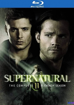 [蓝光原盘 剧集] 邪恶力量 第十一季 (2015) Supernatural Season 11 / 邪恶力量 第十一季 / 超自然 第十一季 / 灵异录 第十一季 / 凶鬼恶灵 第十一季 / Supernatural.S11.1080p.BluRay.X264