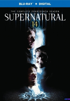 [蓝光原盘 剧集] 邪恶力量 第十四季 (2018) Supernatural Season 14 / 邪恶力量 第十四季 / 超自然 第十四季 / 灵异录 第十四季 / 凶鬼恶灵 第十四季 / Supernatural.S14.1080p.BluRay.X264