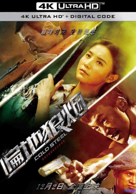 [4K电影] 遍地狼烟  (2011) Cold Steel / Cold.Steel.2011.4K.WEB-DL.H265.AAC